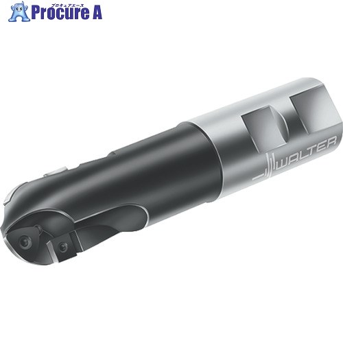Walter ボールノーズカッター F2239.W.025.Z01.28 1個 ■▼803-5522 【送料都度見積】 ●O585