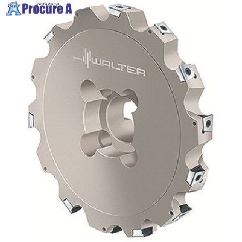 Walter サイドカッター F4253.BN60.250.Z08.20R 1個 ■▼803-6576 【送料都度見積】 ●O585