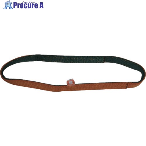シライ ベルトスリング ナイロンスリング N3N(JIS3トウキュウ) エンドレス形 75mm幅×長さ4.25m N3N-75X4.25 1本 ■▼817-0186 【送料都度見積】
