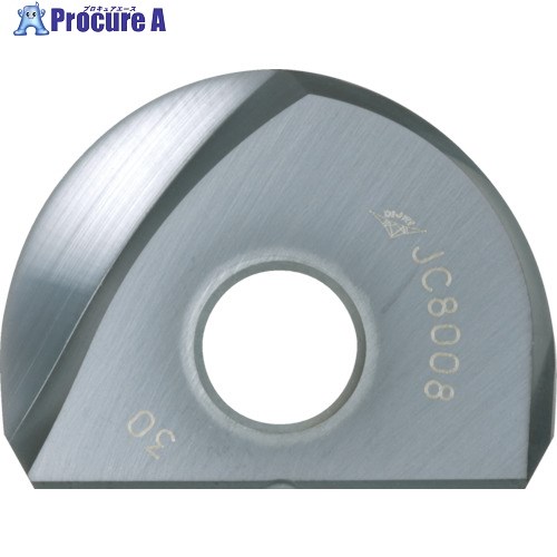 ダイジェット ミラーボール用チップ BNM-300-S JC20003 2個 ▼837-1709
