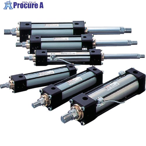 TAIYO 油圧シリンダ 100H-21CA32BB300-AB-YK 1個 ■▼838-8523 【送料都度見積】