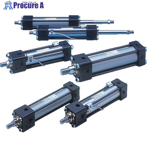 TAIYO 油圧シリンダ 160H-12SD100BB400-AB-T 1個 ■▼842-0363
