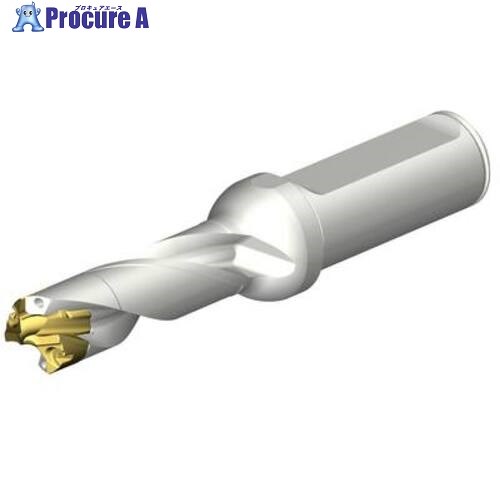 SANDVIK CoroDrill DE10ヘッド交換式ドリル 16-16.99mm(446) DE10-D1600-160L20-3 1本 ■▼707-6157 【送料都度見積】 ●KO521