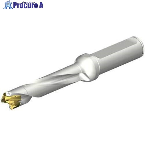 SANDVIK CoroDrill DE10ヘッド交換式ドリル 13-13.49mm(446) DE10-D1300-130L16-5 1本 ■▼707-6158 【送料都度見積】 ●KO521｜プロキュアエース 33,073円