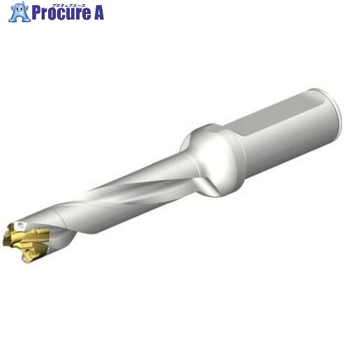 SANDVIK CoroDrill DE10ヘッド交換式ドリル 15-15.99mm(446) DE10-D1500-150L20-5 1本 ■▼707-6168 【送料都度見積】 ●KO521