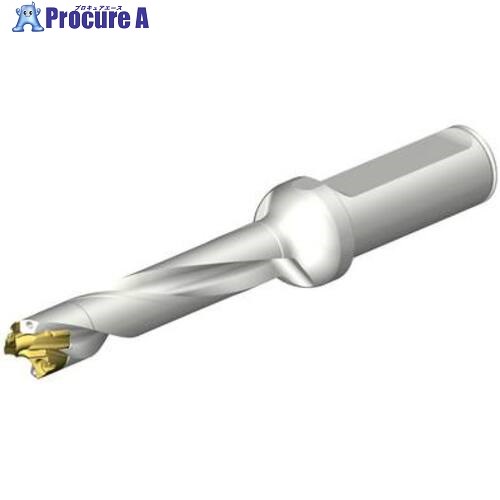 SANDVIK CoroDrill DE10ヘッド交換式ドリル 14-14.99mm(446) DE10-D1400-140LX19-5 1本 ■▼707-6518 【送料都度見積】 ●KO521|プロキュアエース