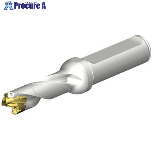 SANDVIK CoroDrill DE10ヘッド交換式ドリル 13-13.49mm(446) DE10-D1300-130L16-3 1本 ■▼707-6531 【送料都度見積】 ●KO521|プロキュアエース