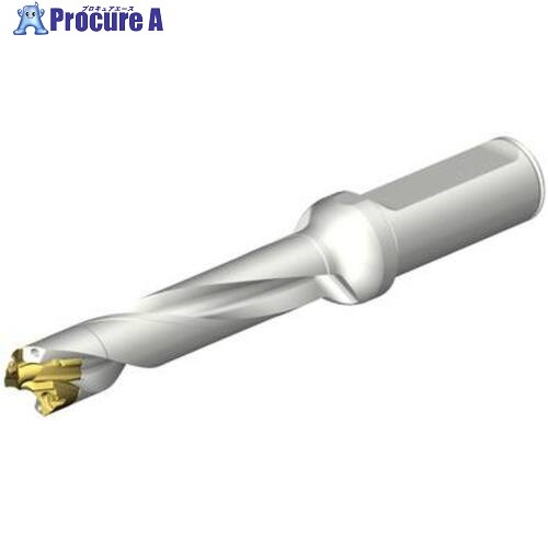 SANDVIK CoroDrill DE10ヘッド交換式ドリル 16-16.99mm(446) DE10-D1600-160L20-5 1本 ■▼707-6532 【送料都度見積】 ●KO521