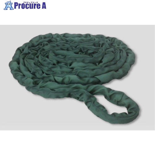 TESAC ベルトスリング ハイテクロンソフトN形(エンドレスタイプ) 50t用×10m THSN50TX10M 1本 ■▼711-2990