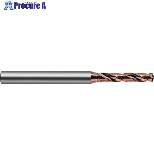 GUHRING 高硬度用マイクロせん孔機 3xD Perrox厚地の外套 0.85粍 7053 0.850 1本 ■▼712-8794 【貨物輸送都度積もり書き】 DIY・工具-電動・エア工具用アクセサリー