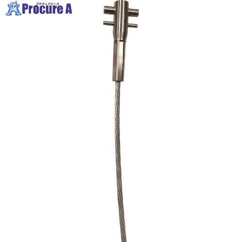 3M DBI-サラ Lad-Saf 垂直親綱用 ケーブル GA 30m 6104100 1箱 ■▼424-8696 【送料都度見積】