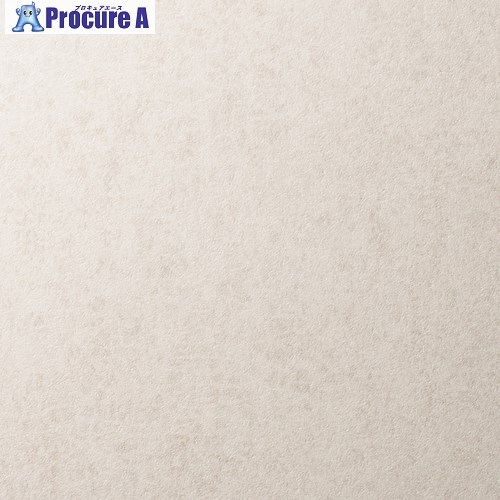 3M ダイノック フィルム ARシリーズ キズ防止フィルム AE-1634AR， 1220 MM X 25 M AE-1634AR 1巻 ■▼656-0185 【送料都度見積】