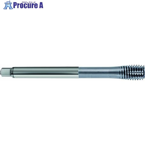 GUHRING ステンレス鋼用フォーミングタップ メ-水銀柱ミリメートル並目ねじ M4 8100 4.000 1本 ■▼709-8861 【貨物輸送都度積もり書き】