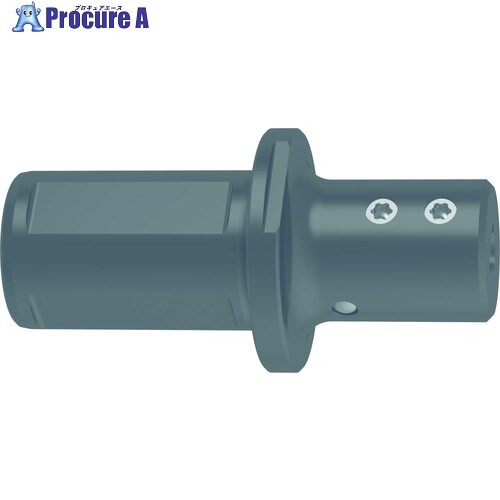 GUHRING ブローチツール用丸シャンクホルダ GB110.0750.300.00.22.S.IK 27056 10.010 1本 ■▼710-3283 【送料都度見積】