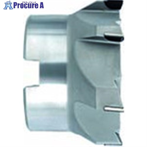 GUHRING PCD 向こう正面・隅っこ用ミーリングカッタ 標準尺度刃 125粍 4194 125.000 1個 ■▼707-8708 【貨物輸送都度積もり書き】