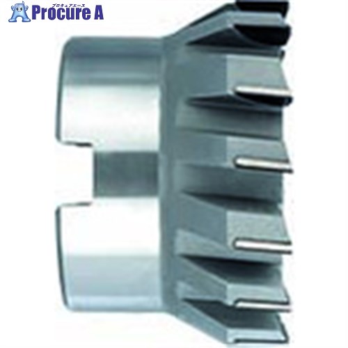 GUHRING PCD 向こう正面・隅っこ用ミーリングカッタ 多刃 32粍 4193 32.000 1個 ■▼709-9216 【貨物輸送都度積もり書き】