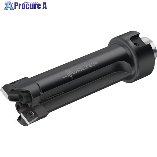 Walter 2枚刃原油生産物の具 B3221.N2.020-024.Z2.CC06 1個 ■▼227-0263 【貨物輸送都度積もり書き】 ●O585