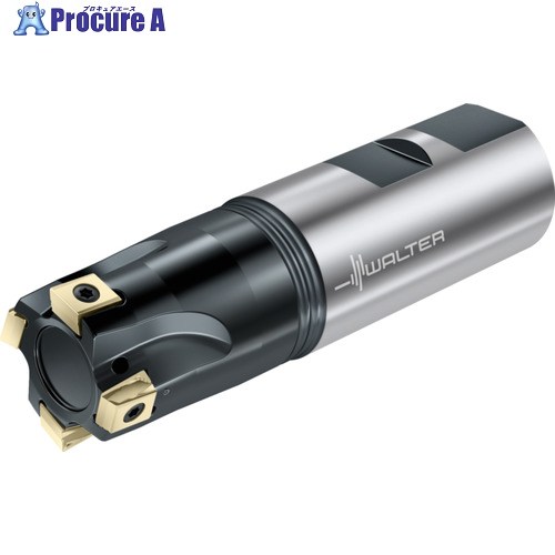 Walter 肩削り截断機 F5041.W25.025.Z04.08 1個 ■▼228-1418 【貨物輸送都度積もり書き】 ●O585