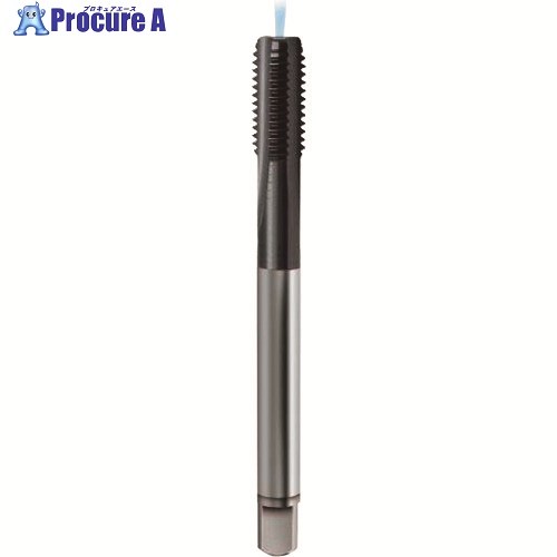 GUHRING メートル並目ねじ用タップ レギュラTiCNコート M10×1.5 4448 10.000 1本 ■▼180-4500 【送料都度見積】|プロキュアエース