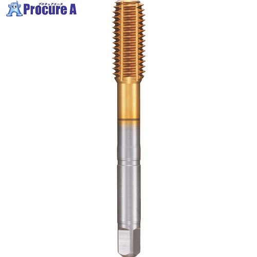 GUHRING 米突所せまいねじ用水道栓 レギュラTiN厚地の外套 M16×1.5 4445 16.007 1本 ■▼181-1009 【貨物輸送都度積もり書き】