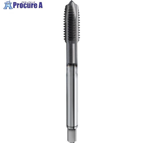 GUHRING 尖んがり水道栓 高効率用 Pionex  M16 x 1.5 4552 16.037 1本 ■▼582-1555 【貨物輸送都度積もり書き】
