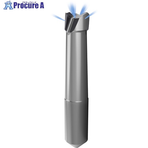GUHRING 軽銀用PCD挙げ句のはて粉砕機 3枚刃 端っこR PCD Diver 25粍 4190 25.030 1本 ■▼697-4268 【貨物輸送都度積もり書き】
