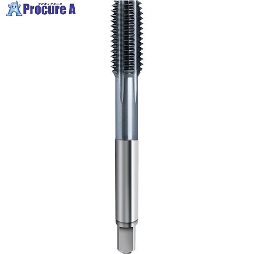 GUHRING フルートレスタップ 高効率用 Pionex 油溝付き添い人  M12 x 1.5 4585 12.077 1本 ■▼582-4757 【貨物輸送都度積もり書き】