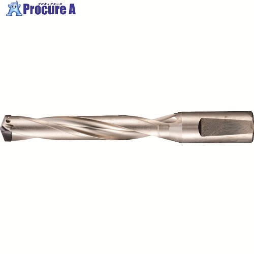 GUHRING 刃先交換式超硬ドリルホルダ5×D用 19.01~20.00mm 5243 20.000 1本 ■▼181-0631 【送料都度見積】|プロキュアエース