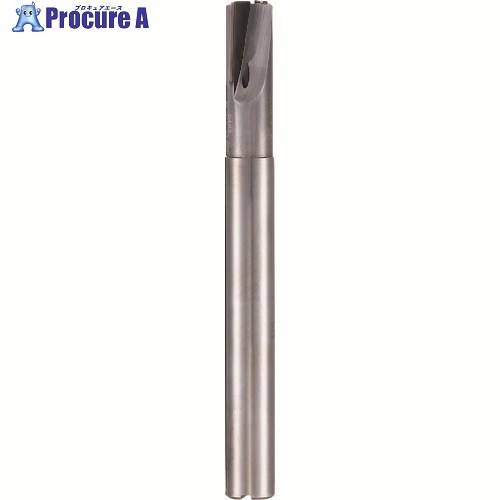 GUHRING PCD 2枚刃挙げ句の果て粉砕機 ロングシャンク 18粍 5493 18.001 1本 ■▼182-6752 【貨物輸送都度積もり書き】
