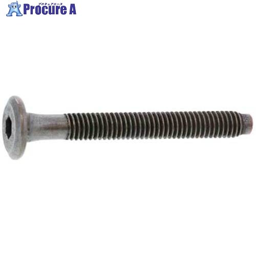 SUNCO GB JCB-C(六角穴D13 6 X 80 (100本入) 610001200060080007 1箱 ■▼362-7556 【貨物輸送都度積もり書き】
