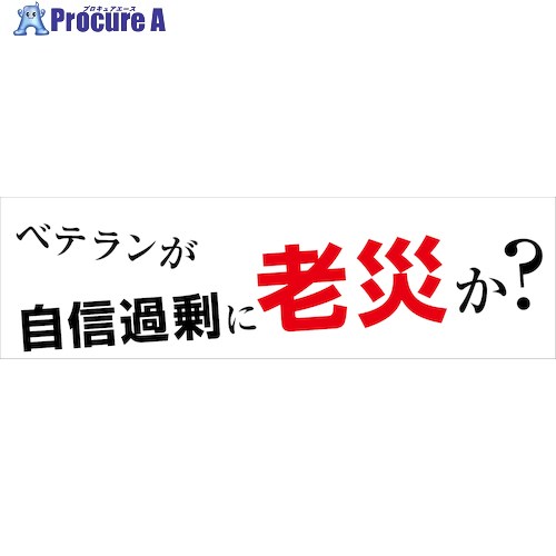 グリーンクロス 標語横断幕 HYO-06 6300036068 1枚 ■▼473-0826 ※個人宅様送り不可|プロキュアエース