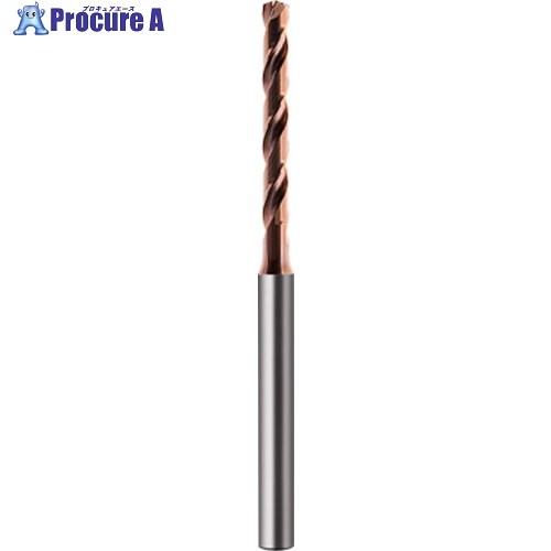 GUHRING マイクロせん孔機 5xD 油絵の具大広間付き添い人 印字機 VA  2.38粍 6489 2.380 1本 ■▼583-9732 【貨物輸送都度積もり書き】