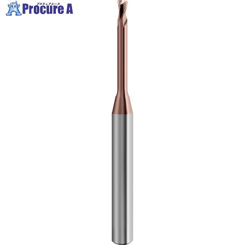 GUHRING 2枚刃トーラスエンドミル G-Mold 55 T ロング 1mm 6851 1.001 1本 ■▼585-6341 【送料都度見積】