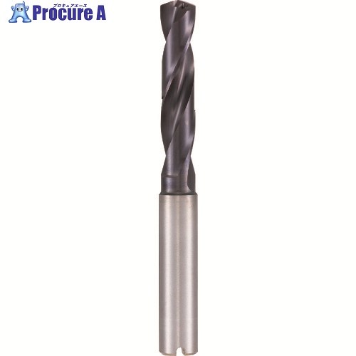 GUHRING 超硬ステンレス鋼用せん孔機3×D用 nanoA厚地の外套 9.4粍 8510 9.400 1本 ■▼232-8217 【貨物輸送都度積もり書き】