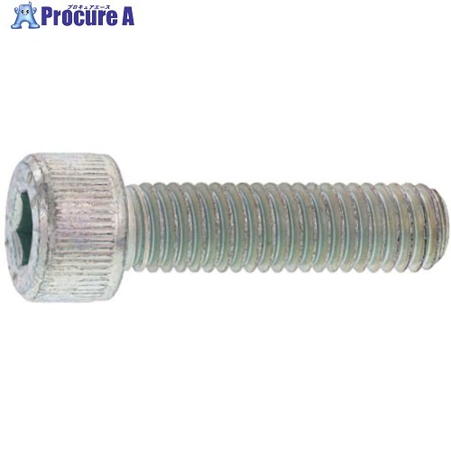 SUNCO クローム CAP 日本鋲螺 20 × 70 (15本入) A0-00-000B-0200-0700-06 1箱 ■▼247-4742 【貨物輸送都度積もり書き】