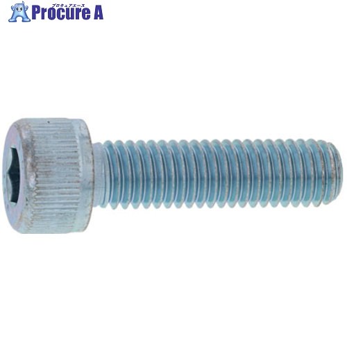 SUNCO 三価白いこと CAP(アンスコ 2×12 (1000本入) A0-00-000A-0020-0120-03 1箱 ■▼248-7165 【貨物輸送都度積もり書き】