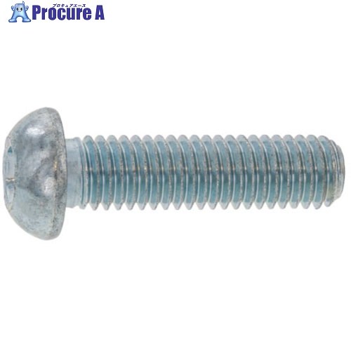 SUNCO クローム 名取り草CAP(TKS 10×35 (100本入) A0-00-100T-0100-0350-06 1箱 ■▼247-0777 【貨物輸送都度積もり書き】