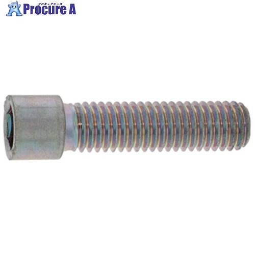 SUNCO 小頭CAP 12×45(半ねじ) (60本入) A0-00-0050-0120-0450-00 1箱 ■▼247-3598 【貨物輸送都度積もり書き】
