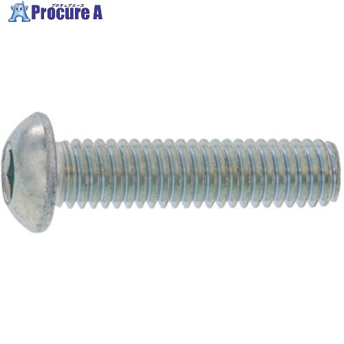 SUNCO クローム 名取り草CAP(日産螺旋釘 JIS B 1174 6×10 (500本入) A0-00-100N-0060-0100-06 1箱 ■▼247-3823 【貨物輸送都度積もり書き】