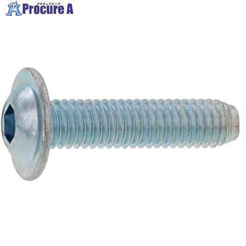 SUNCO Ni フランジボタンCAP 4×6 (1000本入) A0-00-3100-0040-0060-05 1箱 ■▼247-4087 【貨物輸送都度積もり書き】 ボルト-花・ガーデン・DIY-ネジ・釘・金属素材