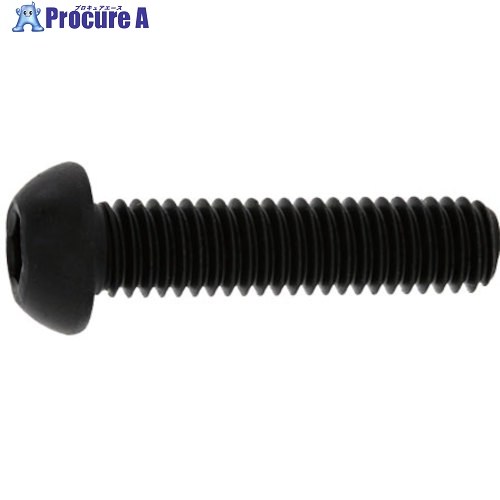 SUNCO ボタンCAP(カクマル 12×25 (100本入) A0-00-100K-0120-0250-00 1箱 ■▼248-0185 【送料都度見積】