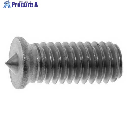 SUNCO SUSパチットスポットネジ 5×10 (500本入) 00-02-0810-0050X0100-00 1箱 ■▼229-6955 【貨物輸送都度積もり書き】