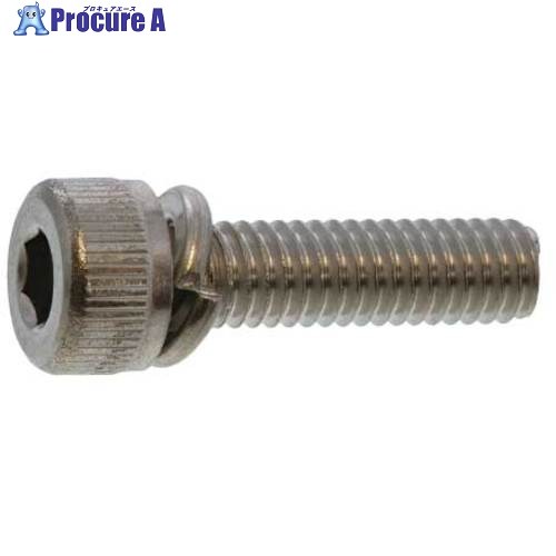 SUNCO 三価白いこと 10.9CAP P＝2 6 X 8 (500本入) A0-00-9020-0060-0080-03 1箱 ■▼242-7729 【貨物輸送都度積もり書き】