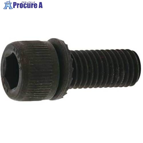 SUNCO GT-CAP(SA) 6 X 15 (500本入) A0-00-GTSA-0060-0150-00 1箱 ■▼243-4699 【貨物輸送都度積もり書き】