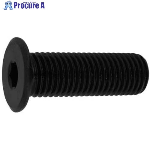 SUNCO 極薄ローヘッド 所せまいP-1.25 10×45P1.25 (80本入) A0-00-L304-0100-0450-00 1箱 ■▼243-5930 【貨物輸送都度積もり書き】