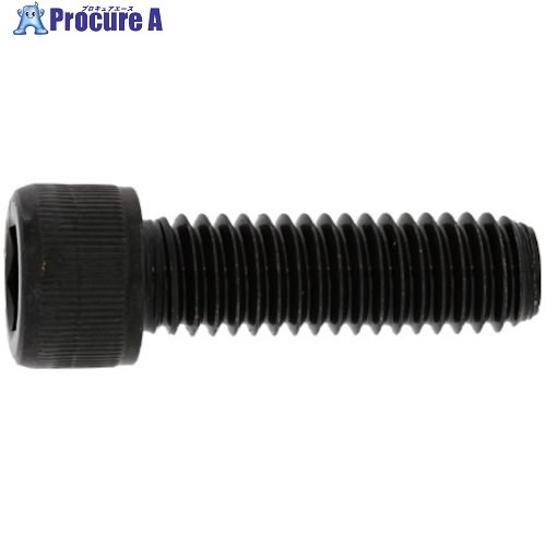 SUNCO ステンCAP(UNC1/4-20X5”(25本入) A0-02-0030-8020-8500-00 1箱 ■▼241-0976 【貨物輸送都度積もり書き】
