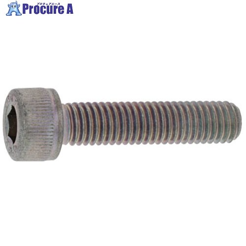 SUNCO ステンCAP(カクマル 6×100 (100本入) A0-02-000K-0060-1000-00 1箱 ■▼241-3726 【貨物輸送都度積もり書き】 ボルト-DIY・工具-花・ガーデン・DIY