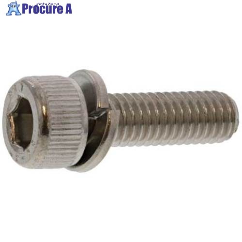 SUNCO ステンCAP P＝2 興津螺子釘製 3×25 (1000本入) A0-02-902V-0030-0250-00 1箱 ■▼242-0312 【貨物輸送都度積もり書き】