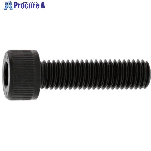 SUNCO ステンCAP(左ねじ 8&times;60 (100本入) A0-02-0020-0080-0600-00 1箱 ■▼242-1697 【送料都度見積】｜プロキュアエース