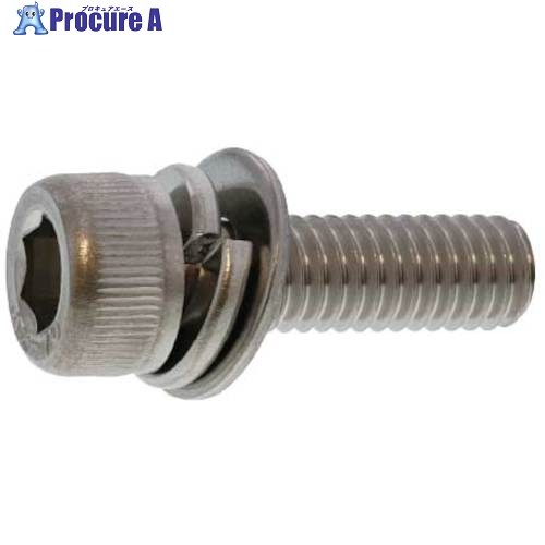 SUNCO ステンCAP P＝3 8×65 (100本入) A0-02-9030-0080-0650-00 1箱 ■▼242-1823 【貨物輸送都度積もり書き】